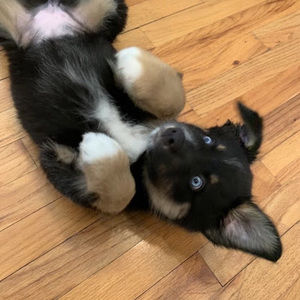 Meet your Posher, Kaleb